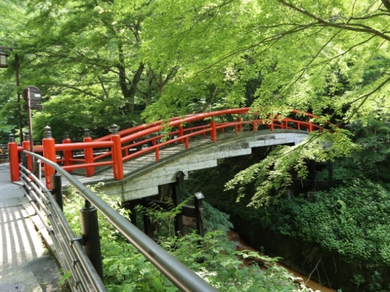 伊香保温泉 ひみつのやど＜シースループラン休止中＞